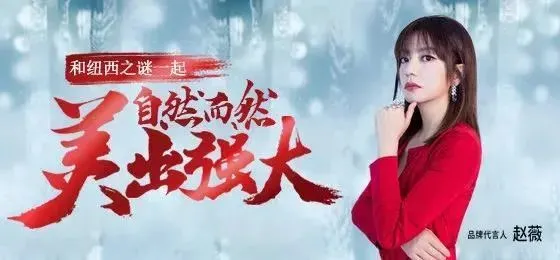 纽西之谜的罪与罚