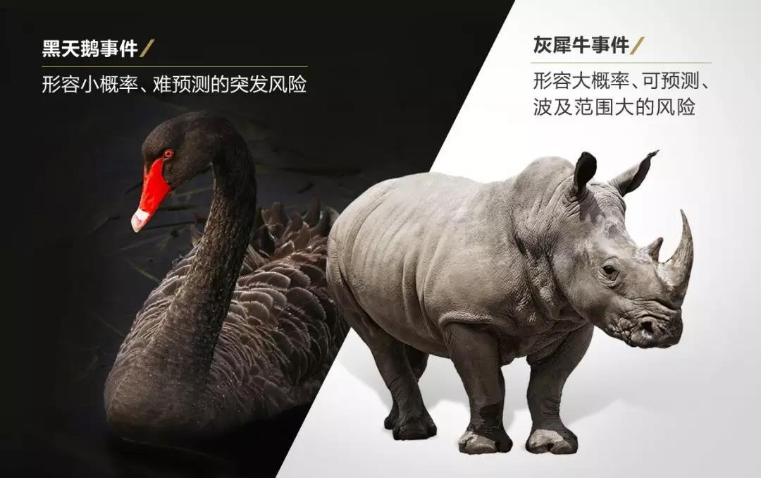 黑天鹅事件的由来:欧洲人观察了上千年,见到的天鹅全部是白天鹅,于是