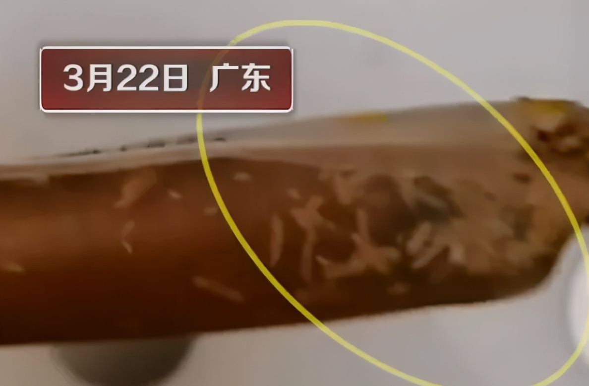 鸡肉肠爬满蛆良品铺子愿赔偿但不道歉仍正常售卖