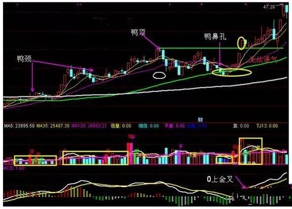 经典老鸭头形态跟上即将拉升