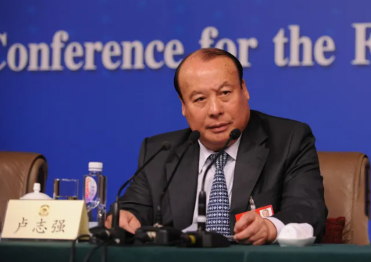 杠杆赌徒卢志强的泛海浮沉