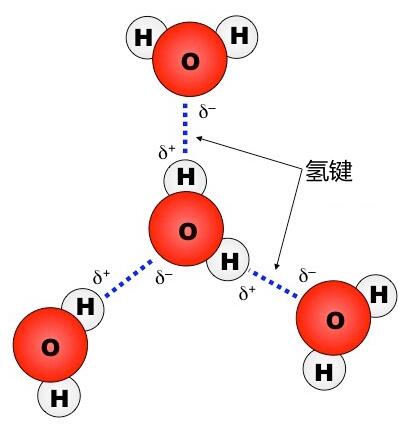 氢键的形成图片