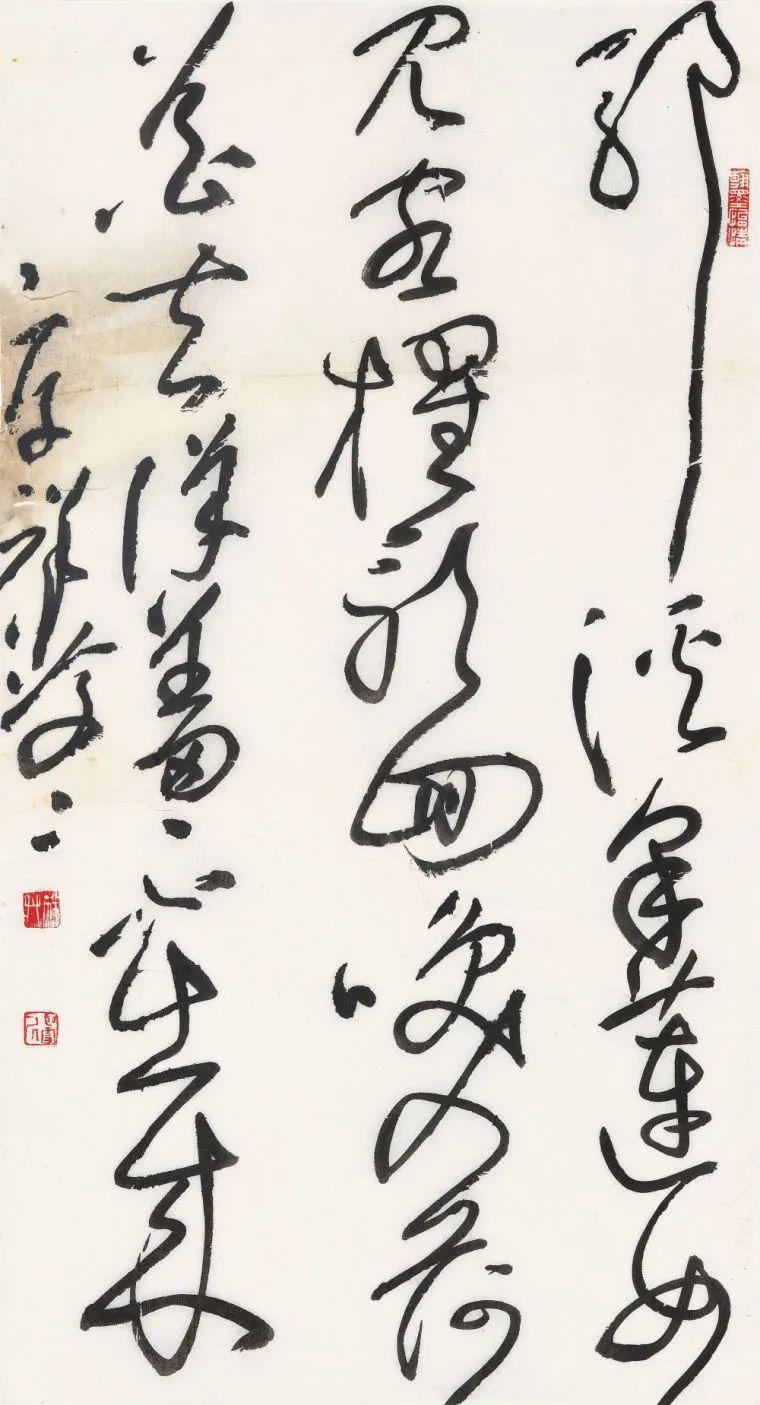 放懷海曙——王厚祥草書作品展在山東煙臺舉行_中金在線財經號