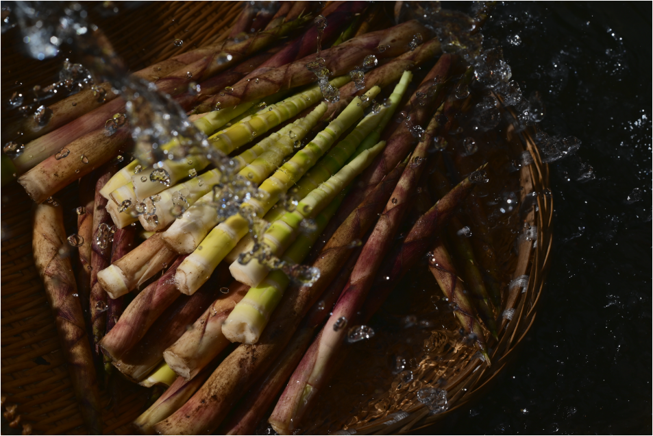 一包筇竹笋零食的高端原料养成记