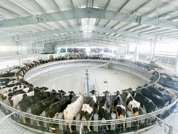 上半年净利增长20.07% 光明乳业坚定高质量发展背后_中金在线财经号