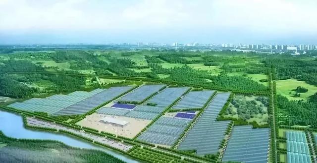 农业产业规划：引领乡村振兴的新引擎