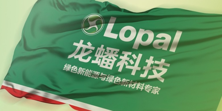 龙蟠科技上亿元收购零营收亏损公司实控人涉嫌利益输送