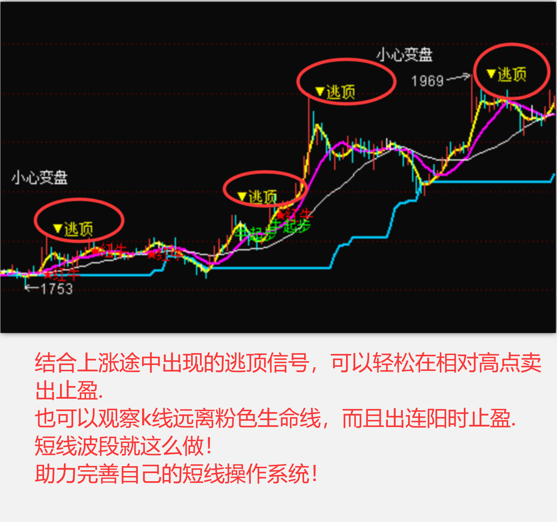 筹码选股器图片