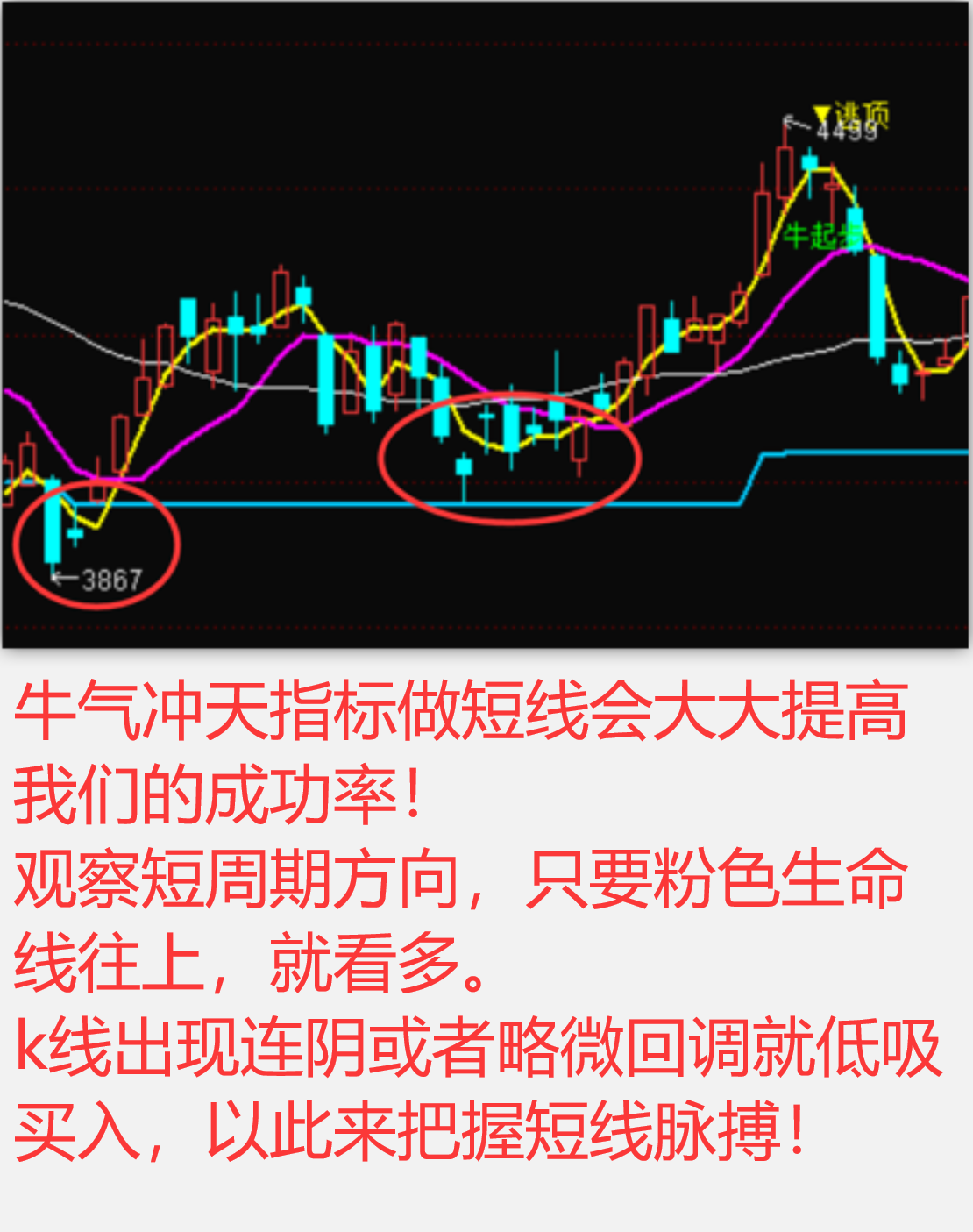 筹码选股器图片