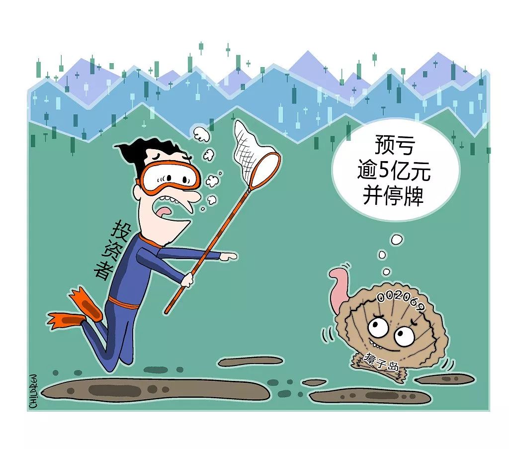 獐子岛魔幻剧情股东和会计师比扇贝跑得还快