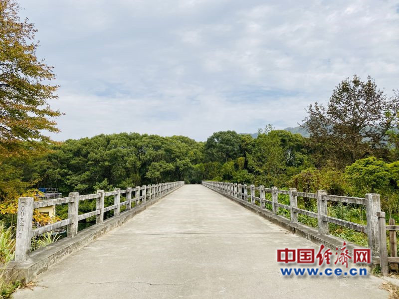 刘德华电影《失孤》取景地 原来在这片香樟林古树群