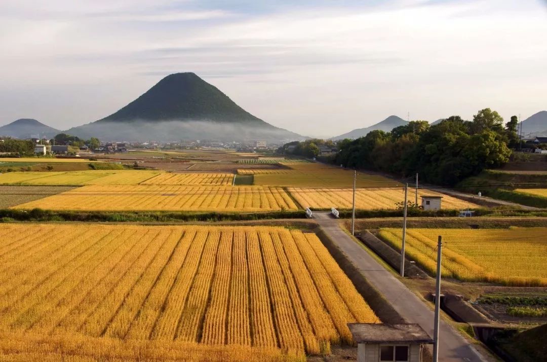 半月刊李玲飞智能农业日本在学习哪些国家
