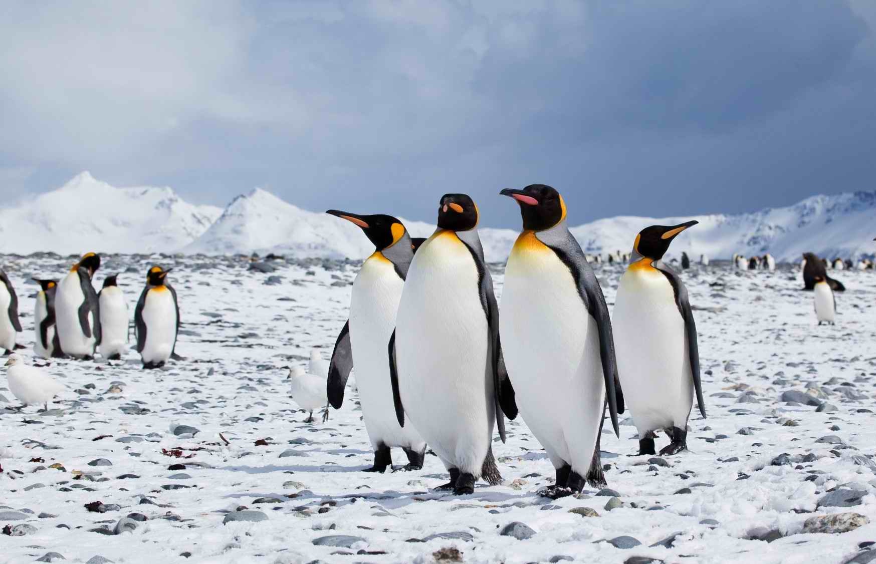 时代周报记者:袁润秋2020年的开端,全球各地也在变暖的气候环境下