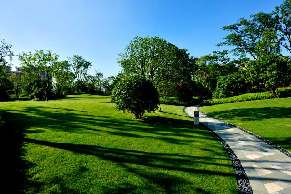 新力帝泊湾园林实景