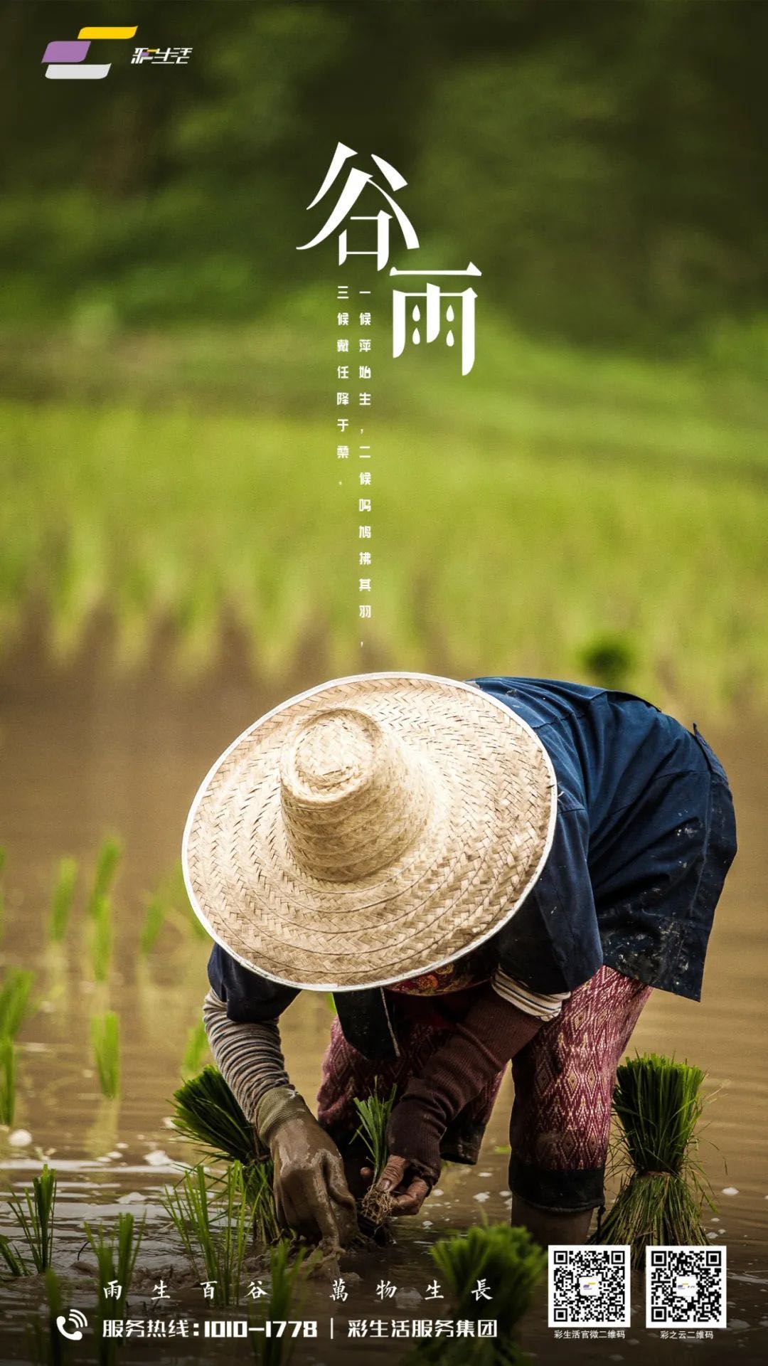 谷生万物雨足财丰物业企业2020谷雨海报大赏