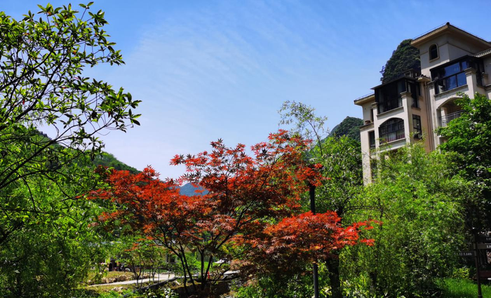 1小时直达的娄山栖谷!