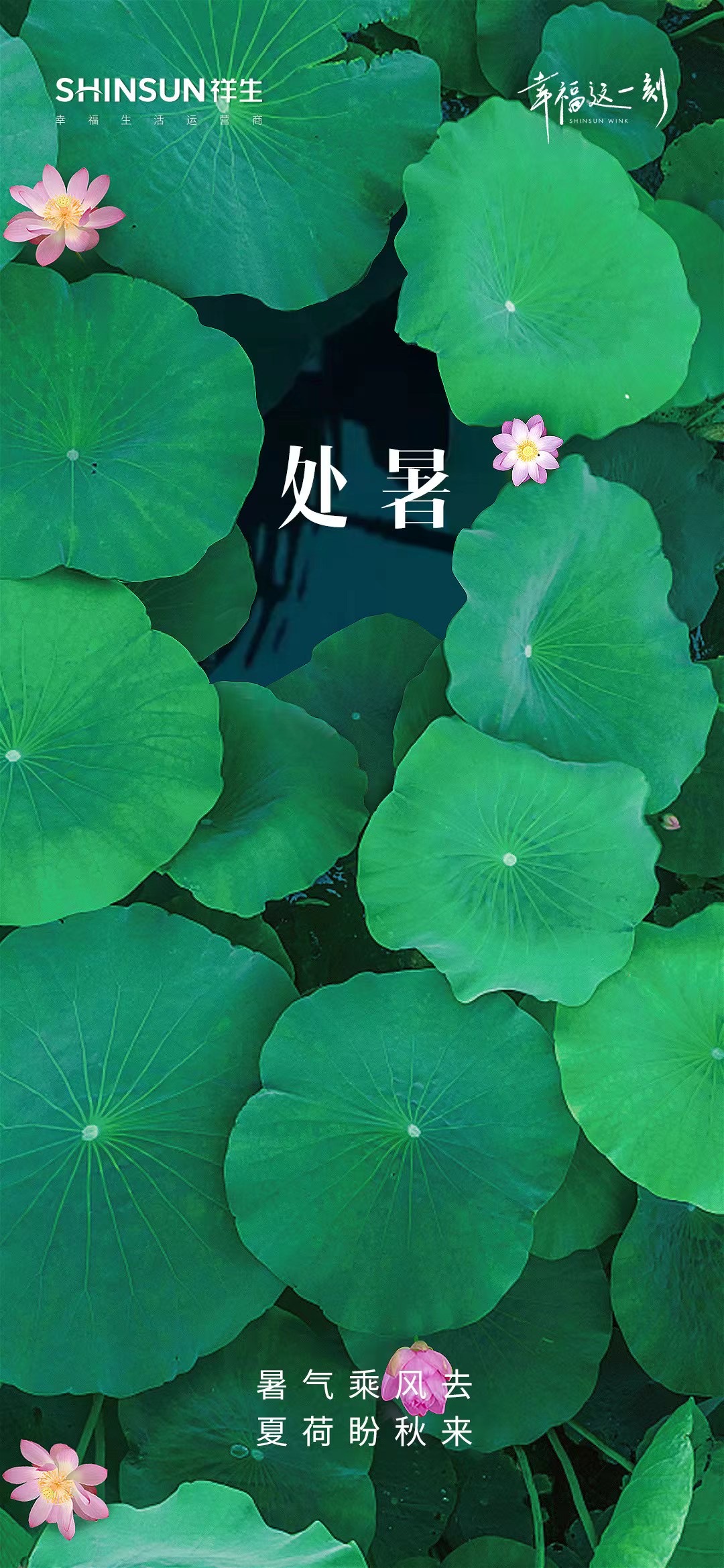 票选|暑止寒来!2021年处暑房企官宣海报大赏