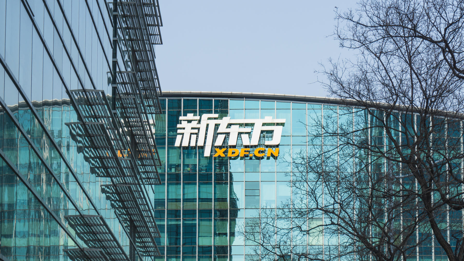 辞退6万人新东方与俞敏洪划清界限个人文章不代表公司观点