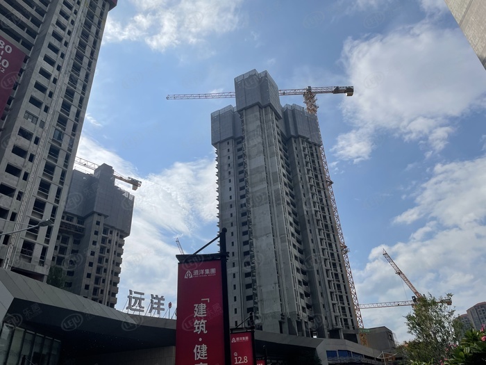 楼盘测评增城荔城新盘远洋风景卖什么价