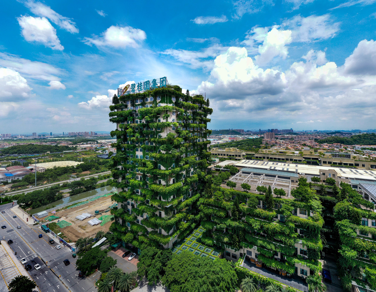 杨惠妍卖股套现逾50亿港元,碧桂园:暂无股东借款计划_中金在线财经号