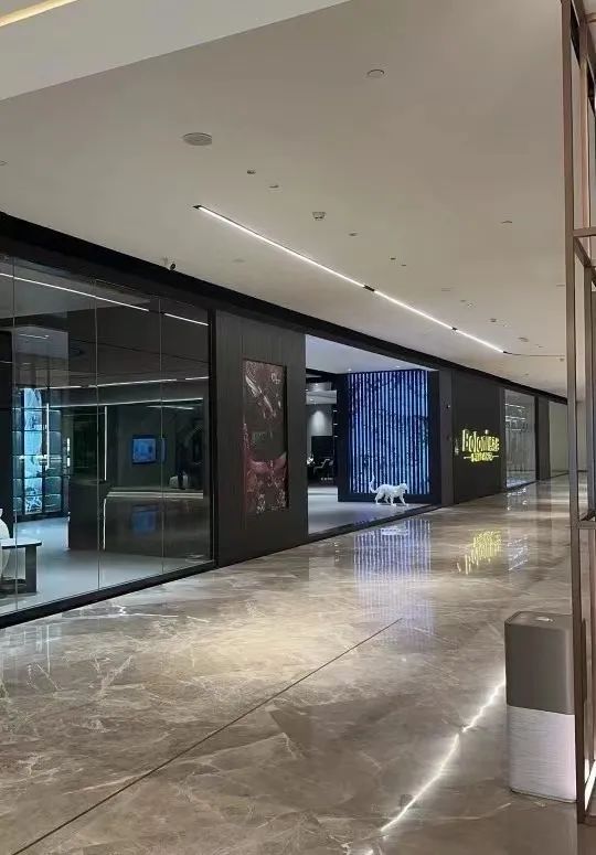 据悉,广佛两地的博洛尼门店均为同一个经销商所开,博洛尼家居罗浮宫店