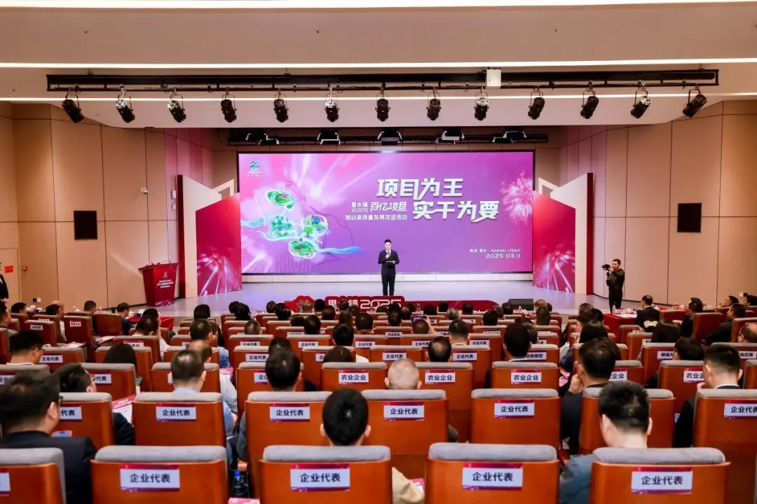 投入超330亿！重点建设四大示范区！里水2025重点项目曝光_中金在线财经号