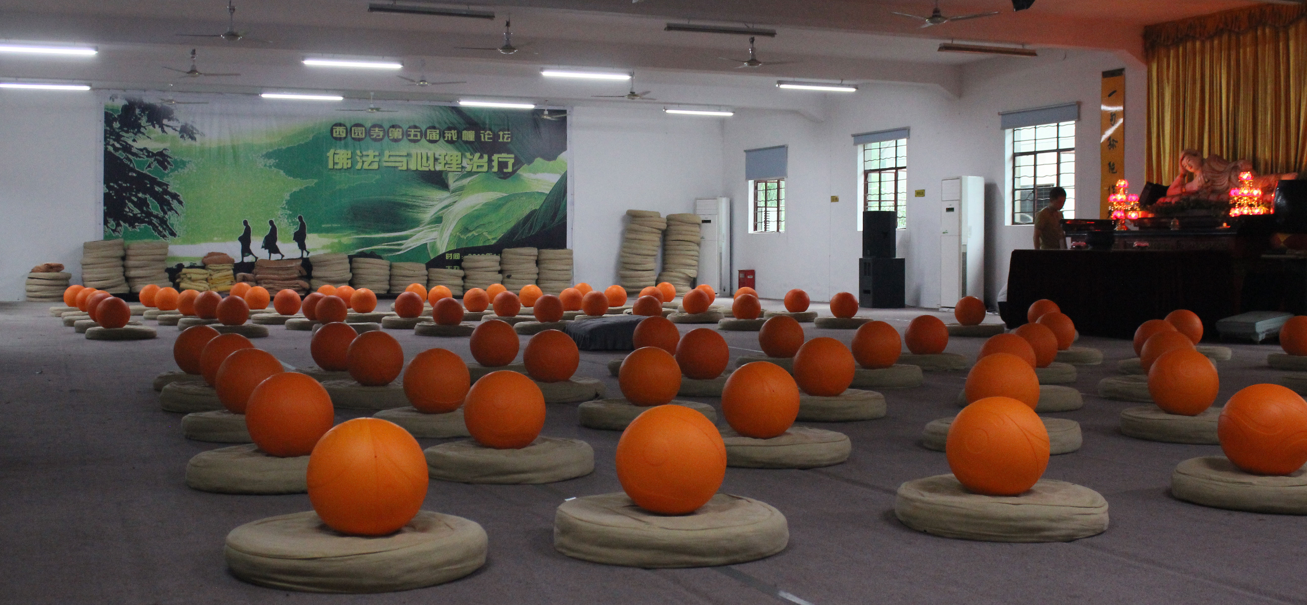 悠然太极球悄然问世 它的"球"生不简单