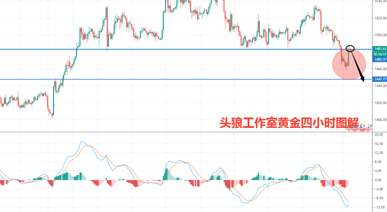 头狼黄金夜盘暴涨这才是他的本来面目