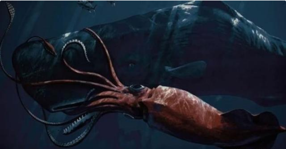 动物界里,蓝鲸,座头鲸是专门吃小鱼的,但是几条小鱼在鲸鱼嘴边游过