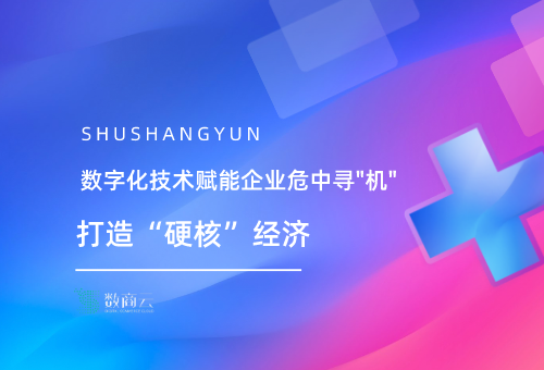 数字化技术赋能企业危中寻机,打造"硬核"经济