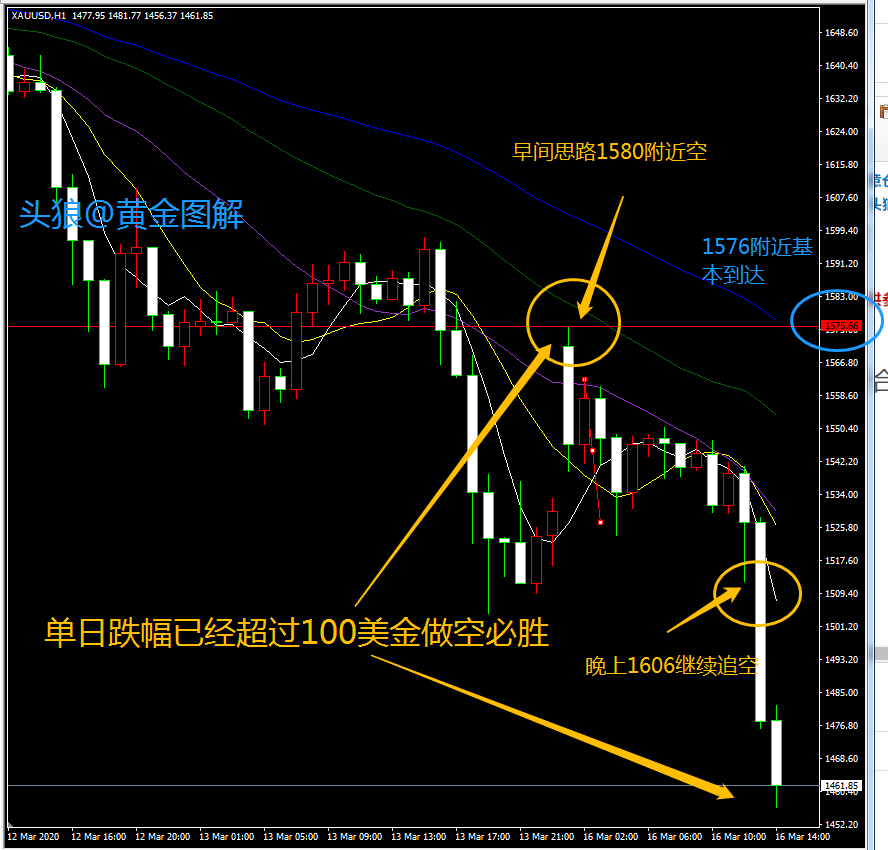 头狼空单大胜做空做空必须做空