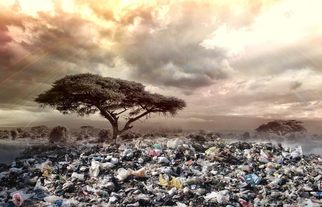 减少白色塑料污染金丹科技