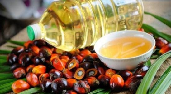 贴一篇旧文油脂龙头棕榈油老二豆油高位下跌关注空单机会