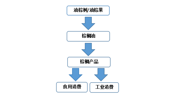 棕榈油的产业链结构比较简单,主要为上游油棕树提供油棕果,中游从油棕