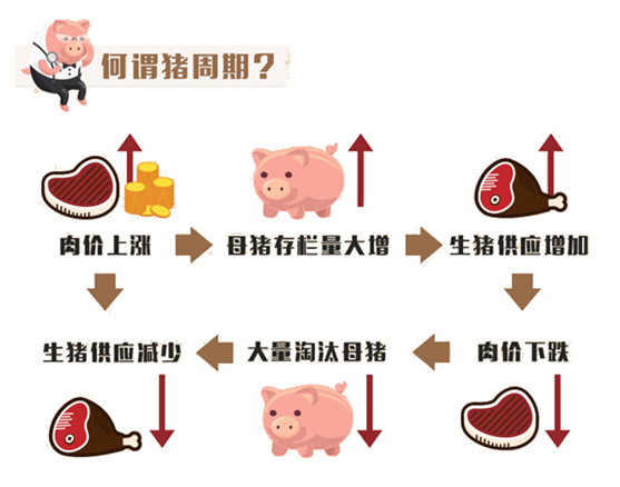 等各方面原因,所以导致猪肉价格大幅上涨,也因此本轮猪周期或许会延长