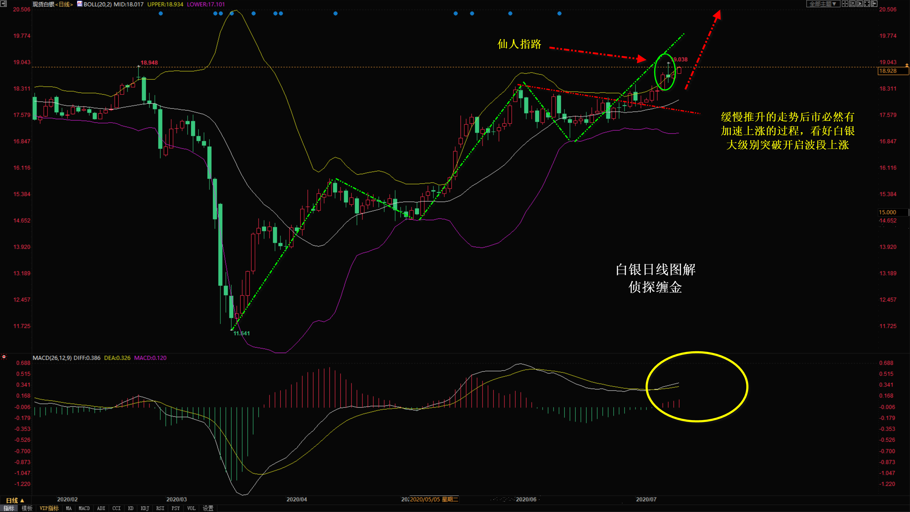 偵探纏金:白銀日線