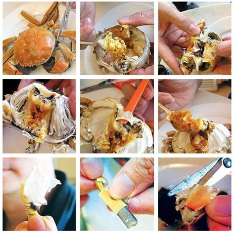 九月吃螃蟹,这有关于螃蟹的所有知识,吃的满足放心_中金在线财经号