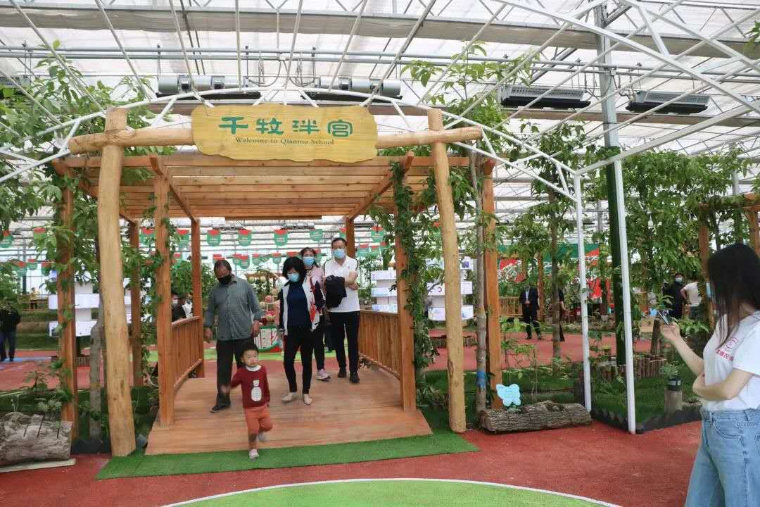 山东劳动实践课研学方案自然教育方案采摘园