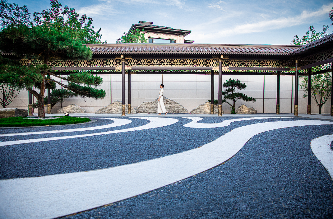 中建国望府有天有地有院子盛放家族诗意情怀