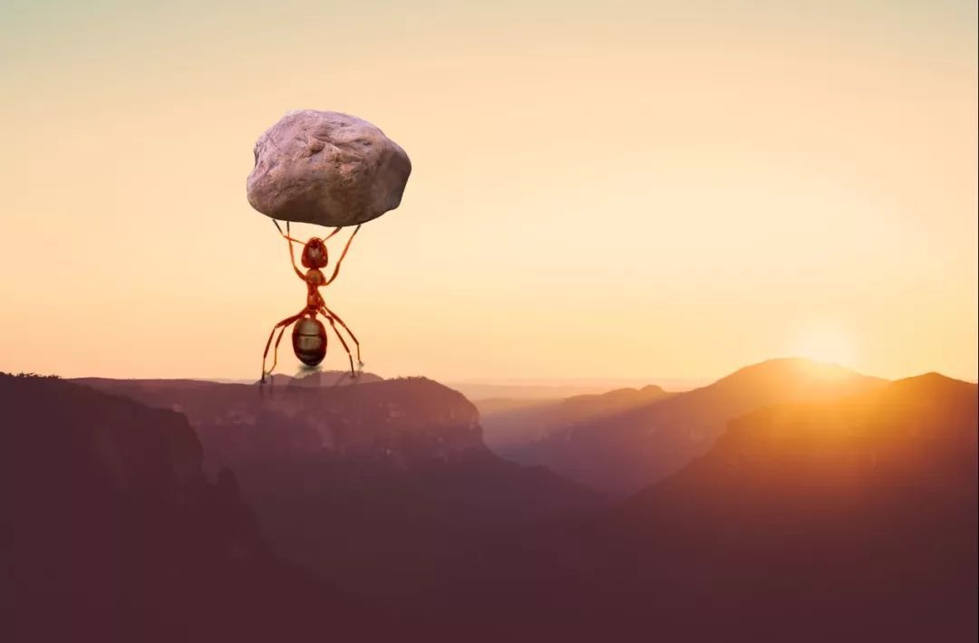 期货交易成功的核心要素之论述顺势止损规则执行力