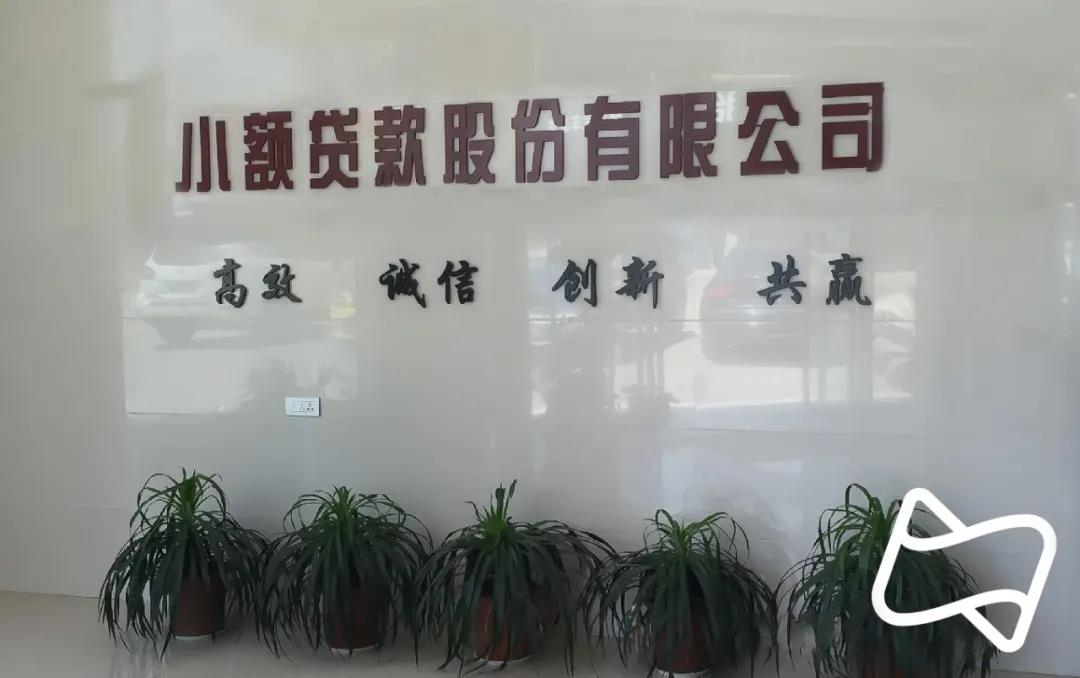 三季度小贷公司盘点,重庆贷款余额占四分之一江山_中金在线财经号