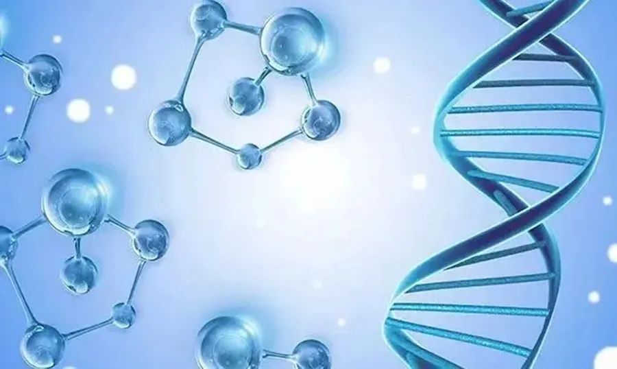 从基因模块到合成生物创造自然的迷人和危险