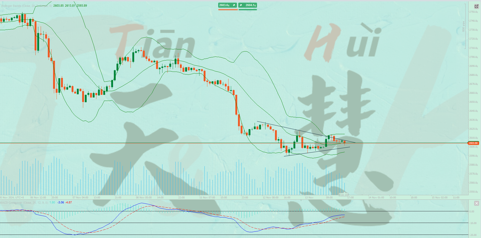 银行贵金属会跌到负数吗(银行贵金属亏了很多钱怎么办)